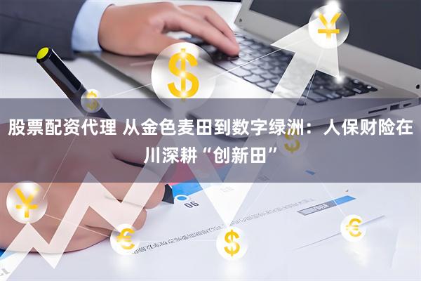 股票配资代理 从金色麦田到数字绿洲：人保财险在川深耕“创新田”